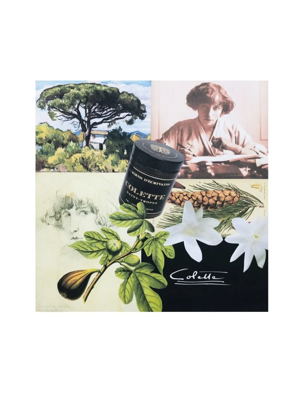 Candela Le jardin de Colette - Saint-Tropez 170 gr