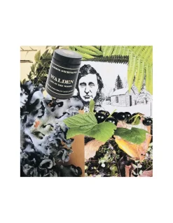 Candela Le jardin de Walden 170 gr