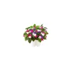 Click & Grow - Click & Grow Refill Busy Lizzy - Coltelleria Lorenzi Milano
