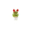 Click & Grow - Click & Grow Refill Cockscomb (Cresta di Gallo) - Coltelleria Lorenzi Milano