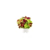 Click & Grow - Click & Grow Refill Coleo CGRFPN - Coltelleria Lorenzi Milano