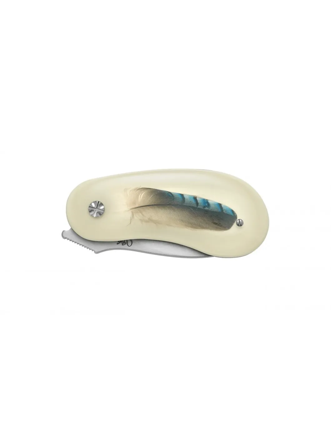 Coltello Chiudibile Drop Piuma di Ghiandaia