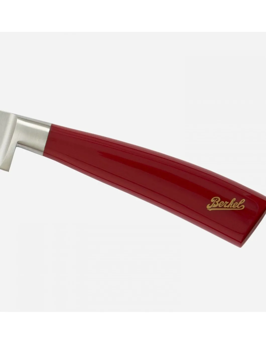Coltello Cucina Lama Seghettata