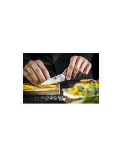 Coltello Spelucchino Tanrei Damascato 10 cm Micarta