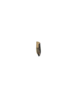 Evoke BS Alox Beige