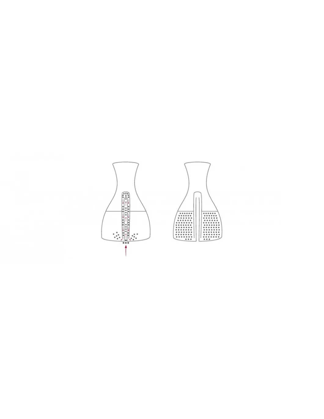 Isommelier Pro Decanter e Ossigenatore Rapido per Vino Nero