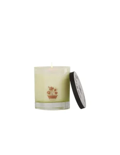 Noble Isle - Willow Song Candela 200 g - Coltelleria Lorenzi Milano