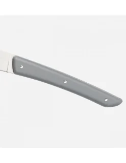 Set di Coltelli da Bistecca Grigio