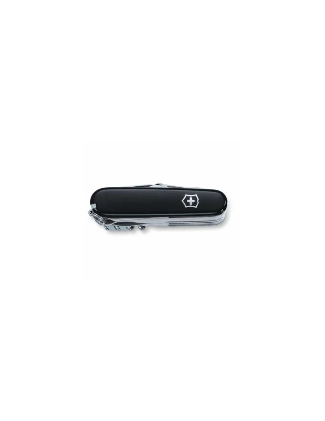 Swiss Champ Black