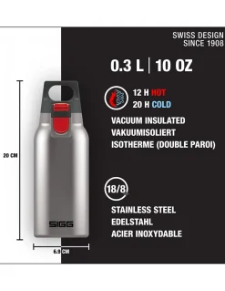 Thermo Flask Hot & Cold ONE Brushed 0.3 L